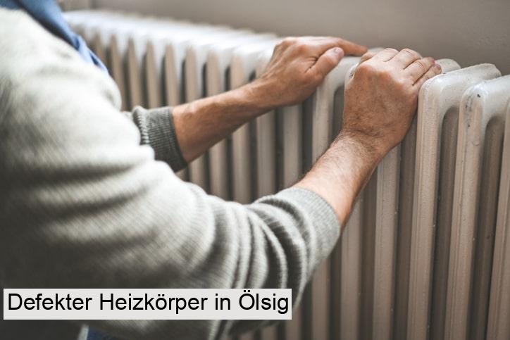 Defekter Heizkörper in Ölsig